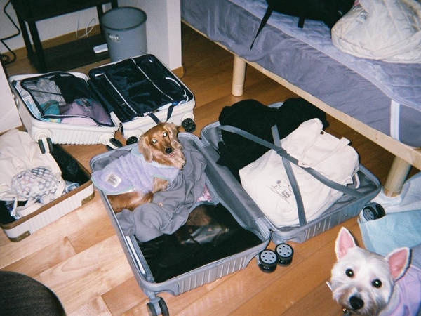 卒業生と卒業犬で卒業旅行♪